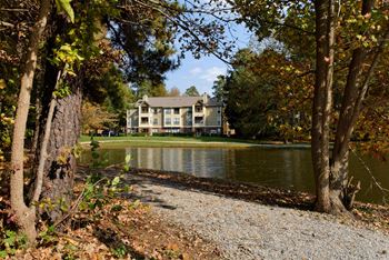 Lake side view